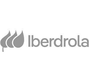 netizen-iberdrola-logo