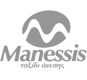 netizen-manesis-logo