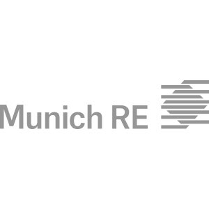 netizen-munich-re-logo