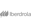 netizen-iberdrola-logo