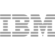 netizen-ibm-logo