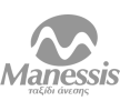 netizen-manesis-logo